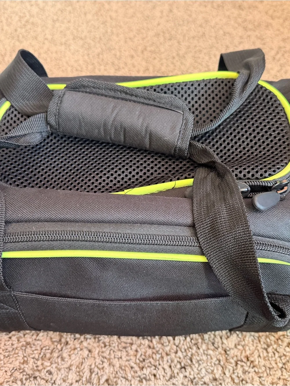 Expandable Soft-Sided Pet Carrier with Removable Mesh Extensions